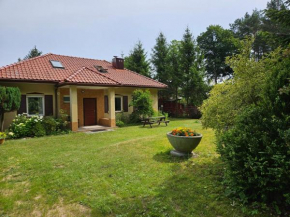 Kopalnia Wspomnień, Kopalino